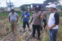 Terlihat Kapolsek Balongbendo, AKP Sugeng bersama jajaran saat melakukan peninjauan di lahan pertanian Desa Panambangan dan Desa Seketi, (Ist).