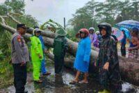 Hujan lebat disertai angin kencang mengakibatkan bencana hidrometeorologi di Kabupaten Trenggalek pada Kamis (28/11) sore hingga Jumat (29/11).