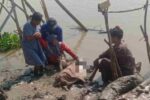 Penemuan Mayat di Tepi Sungai Bengawan Solo Gegerkan Warga Desa Bedanten Penemuan Mayat di Tepi Sungai Bengawan Solo