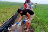 Seorang pria berinisial YS (24), warga Dusun Clangap, Desa Sumengko, Kecamatan Kalitidu, Kabupaten Bojonegoro, ditemukan tewas akibat tersengat aliran listrik dari jebakan tikus di area persawahan desa setempat pada Minggu (08/12/2024) pukul 06.00 WIB.(Ist)