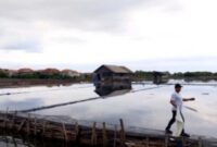 Akibat curah hujan yang terus menerus,tambak garam di Probolinggo gagal panen,(Ist).