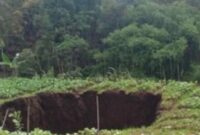 Lubang menganga yang terbentuk di tengah lahan sayur milik warga,(Ist).
