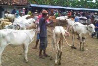 Terlihat situasi di Pasar Hewan Kecamatan Kerek, Tuban, (Foto: Ist).