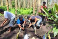Relokasi Ratusan makam di Tempat Pemakaman Umum (TPU) Dusun Bambang, Desa Siraman, Kecamatan Kesamben, Kabupaten Blitar,(AZ/DIN)