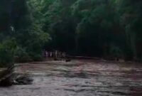 Jalur Pantura di Situbondo terputus akibat luapan sungai dari kawasan Taman Nasional  Baluran (Foto: Fia Rahma/Liputansatu.id).