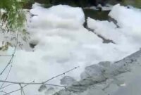 Fenomena Busa misterius muncul di sungai, Tuban (Foto: Assayid Annazili/Liputansatu.id).