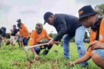 Jurnalis RPS dan Ves Community Hijaukan Tuban: Tanam Pohon dan Dukung Agrowisata RPS dan Vest Cimmunity tanam Pohon