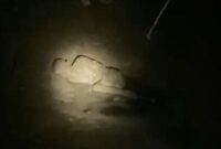 Lansia ditemukan lemas dan penuh lumpur di bantaran sungai Bangilan,Tuban Selasa (04/02/2025) (Assayid Annazili/Liputansatu.id).