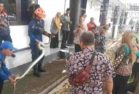 Evakuasi Ular Piton di DPRD Tuban,(Assayid Annazili/Liputansatu.id).