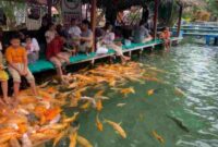 Pengunjung wisata Pelang menikmati teduhnya kebun sagu dan jerninya air sungai dengan ikan yang menambah ceria suasana liburan,(Moh Said/Liputanaatu.id).