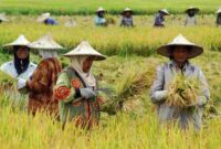 (Gambar: Ilustrasi/Ist).