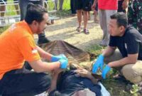 Tim dari Polsek Jenu bersama Inafis Polres Tuban memeriksa Jenazah Lansia di Persawahan Desa Kaliuntu,(Assayid Annazili/Liputansatu.id).