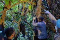 Jenazah Jasmono (50), seorang warga Desa Sidotentrem, Kecamatan Bangilan, Kabupaten Tuban ditemukan gantung diri di tengah hutan, (Assayid Annazili/Liputansatu.id).