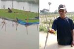 Petani di Tuban Merugi, 35 Hektare Lahan Cabai dan Ratusan Hektare Sawah Terendam Banjir Ratusan hektare lahan petani di Tuban terendam banjir