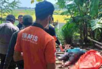Polsek Plumpang bersama tim Inafis dari Polres Tuban melakukan olah TKP dan evakuasi terhadap jasad korban, (Aji Swasto/Liputansatu.id ).