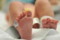 Gambar: (Ilustrasi/Ist).