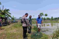 Polisi mendatangi lokasi tenggelam kakek di Desa Trutup Plumpang, (Assayid Annazili/Liputansatu.id).