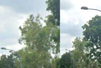 PJU di Desa Ngepon Jatirogo Tuban, (Assayid Annazili/Liputansatu.id).