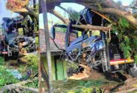 Bus AKAP PO Barkholid Tabrak Pohon di Jalur Pantura Tuban, (Aji Swasto/Liputansatu.id).