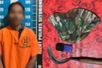 Sempat Buron Tiga Hari, Pelaku Pembacokan di Situbondo Diamankan Polisi Pelaku Pembacokan di Situbondo Berhasil Ditangkap