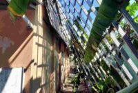 Kondisi ruang kelas di SD Negeri Bogorejo yang ambruk pada Rabu siang (06/08/20225), (Assayid Annazili/Liputansatu.id ).