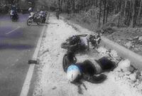 Kecelakaan Maut Jalan Raya Tuban-Babat, (Aji Swasto/Liputansatu.id).