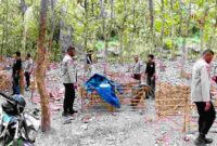 Polisi gerebek lokasi Judi sabung ayam di hutan jati Desa Kendit, Situbondo, (Fia Rahma/Liputansatu.id).