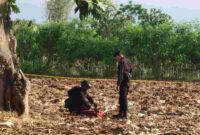 Tim Jihandak Polda Jatim melakukan identifikasi temuan yang diduga mortir aktif peninggalan kolonial di Tuban, (Aji Swasto/Liputansatu.id).