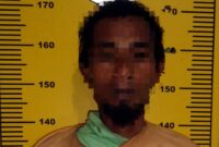 Satu pelaku pencurian kayu jati Perhutani berhasil diamankan Satreskrim Polres Tuban, (Assayid Annazili/Liputansatu.id).