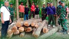 Petugas gabungan dari Polisi Hutan KPH Jatirogo, Polsek Tambakboyo, dan Babinsa Koramil Tambakboyo menunjukkan barang bukti berupa kayu jati hasil pembalakan liar yang diamankan di kawasan hutan wilayah Kabupaten Tuban, (Assayid Annazili/Liputansatu.id).