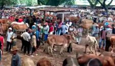 Gambar: (ilustrasi/Liputansatu.id).