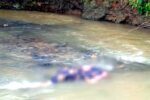 Mayat Lansia Ditemukan Mengapung di Sungai Desa Jadi Tuban, Diduga Sempat Hilang Dua Hari Penemuan Mayat Lansia di Sungai Desa Jadi Tuban