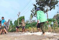 Tidak menunggu program pemerintah, sejumlah warga di Tuban melakukan perbaikan jalan secara swadaya.