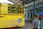 840 Tabung LPG Menuju Pati: Ada Dugaan Jaringan Besar di Balik Kasus Tuban? 840 Tabung LPG 3 Kg Diamankan di Tuban, Diduga Bagian Distribusi Ilegal Lintas Daerah