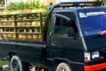 216 Tabung LPG 3 Kg Diamankan di Tuban, Polisi Bongkar Dugaan Pelanggaran Distribusi Mobil Mitsubishi L300 mengangkut 216 tabung LPG 3 kg diamankan polisi di Widang Tuban
