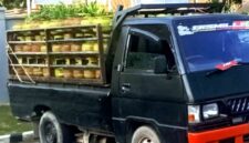 Petugas mengamankan mobil pickup bermuatan ratusan tabung LPG 3 kg di wilayah Widang, Tuban, terkait dugaan pelanggaran distribusi gas subsidi, (Aji Swasto/Liputansatu.id).