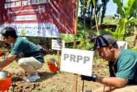 Peserta Festival Alam Lestari RPS melakukan penanaman pohon di kawasan Sendang Kalangan, Desa Montong Sekar, Tuban, sebagai upaya menjaga kelestarian lingkungan dan sumber air, (liputansatu.id).