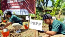 Peserta Festival Alam Lestari RPS melakukan penanaman pohon di kawasan Sendang Kalangan, Desa Montong Sekar, Tuban, sebagai upaya menjaga kelestarian lingkungan dan sumber air, (liputansatu.id).