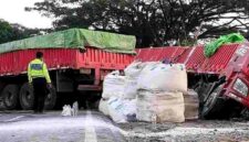 Petugas kepolisian melakukan pengaturan lalu lintas di lokasi truk tronton yang terperosok dan mogok di jalur Pantura Tuban–Surabaya, Jumat (24/04/2026), yang menyebabkan kemacetan hingga 25 kilometer, (Assayid Annazili/Liputansatu.id).