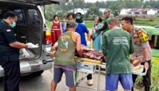 Petugas bersama warga mengevakuasi korban kecelakaan mobil Isuzu Elf yang masuk ke area persawahan di Desa Sidohasri, Kecamatan Kenduruan, Tuban, (Assayid Annazili/Liputansatu.id).