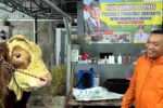 “Jaguar” Asal Situbondo Jadi Hewan Kurban Presiden Prabowo Sapi Simental jumbo bernama “Jaguar” asal Desa Talkandang, Situbondo, terpilih menjadi hewan kurban Presiden Prabowo Subianto