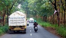 Truk pengangkut material tambang tanpa penutup terpal melintas di jalur Merakurak-Montong, Tuban. Polisi mengancam akan menindak tegas kendaraan yang melanggar aturan kelas jalan dan keselamatan, (Aji Swasto/Liputansatu.id).