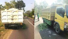 Kondisi korban masih tergeletak tidak bernyawa di bawah dump truk bermuatan batu kapur di jalan Merakurak-Montong, (Ist).