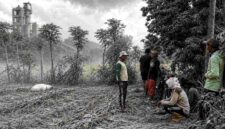 Kondisi ladang di Desa Merkawang, Tuban, dengan latar pabrik semen dan kondisi lahan yang tampak kusam akibat debu abu-abu yang diduga berasal dari aktivitas produksi klinker, (Assayid Annazili/Liputansatu.id).