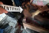 Petugas kepolisian melakukan proses identifikasi di lokasi penemuan seorang pria yang meninggal dunia di dalam rumahnya di Desa Prambontergayang, Kecamatan Soko, Kabupaten Tuban, Kamis (02/07/2026), (Assayid Annazili/Liputansatu.id).