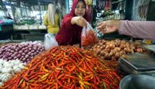 Di tengah mayoritas harga sembako yang stabil selama bulan Suro, harga cabai rawit di Kabupaten Tuban justru naik tajam menjadi Rp42.000 per kilogram, (Assayid Annazili/Liputansatu.id).