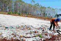 Jaswadi, pesanggem, saat melakukan aktivitas pertanian di lahan petak 57e, Dusun Bribin, Desa Tuwiri Wetan, Kecamatan Merakurak, Tuban, (Aji Swasto/Liputansatu.id).